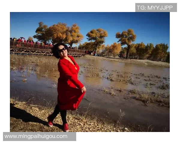 与杨芳畅谈DOTA2职业生涯的起伏与梦想追逐实时数据